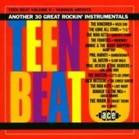 Teen Beat Vol 5 CD