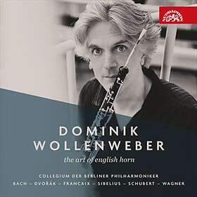 Wollenweber Dominik: The Art Of English Horn CD