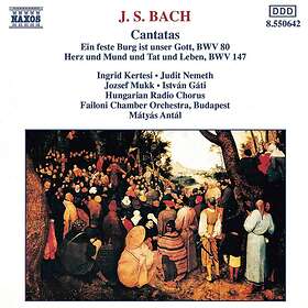 Bach: Cantatas
