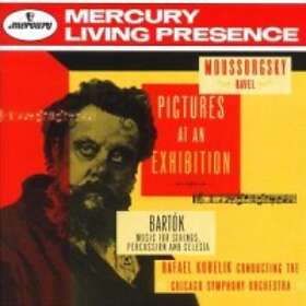 Musorgskij: Tavlor På En Utställning