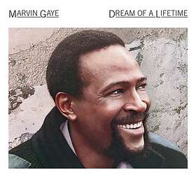 Gaye Marvin: Dream of a Lifetime CD