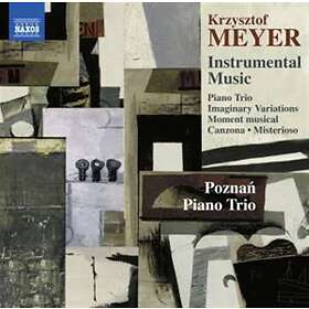 Meyer Krzysztof: Instrumental Music CD