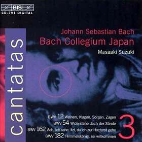 Bach: Kantater Vol 3