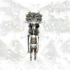 Saicobab: Sab Se Purani Bab (Vinyl)