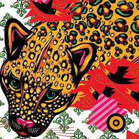 Sound The Hare Heard CD