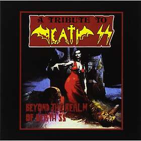 Beyond Realm Of Death SS/Tribute To Death SS CD