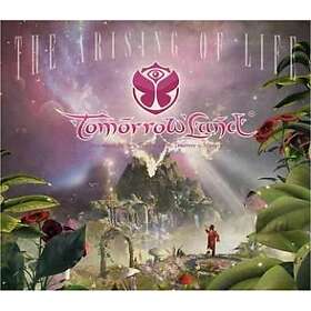 Tomorrowland Summer 2013