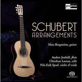 Bergström Mats: Schubert arrangements CD