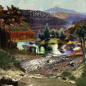 Tingsek: Amygdala CD