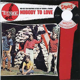 Teenage Shut Down Nobody To Love (Vinyl)