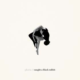 Phoria: Caught A Black Rabbit (Vinyl)