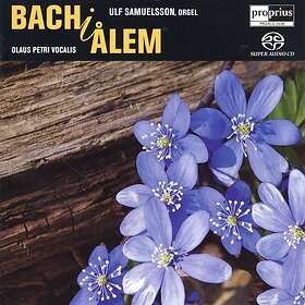 Samuelsson Ulf: Bach i Ålem SACD