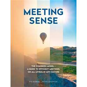 Meeting sense : the Chadberg Model a guide to efficient meetings on