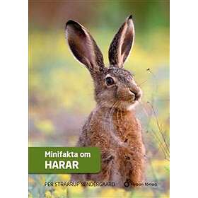 Minifakta om harar