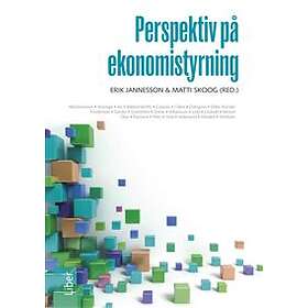 Perspektiv på ekonomistyrning