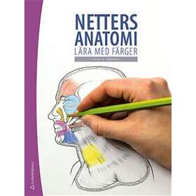 Netters anatomi : lära med färger
