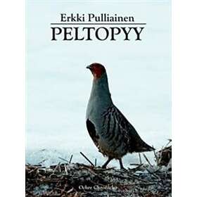 Peltopyy