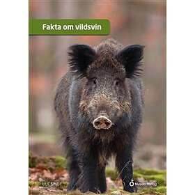 Fakta om vildsvin