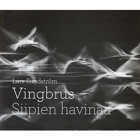 Vingbrus Siipien havinaa