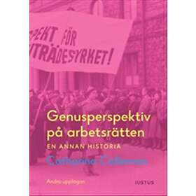 Genusperspektiv på arbetsrätten : en annan historia