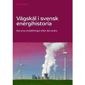 Vägskäl i svensk energihistoria : den ena omställningen efter den andr