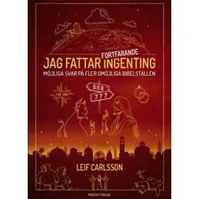 Jag fattar fortfarande ingenting