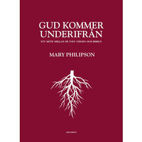 Gud kommer underifrån : ett möte mellan de tolv stegen och Bibeln