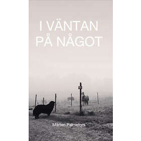 I väntan på något