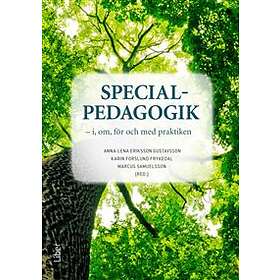 Specialpedagogik i om för och med praktiken