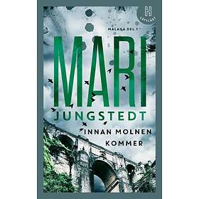 Innan molnen kommer (lättläst)