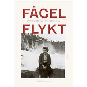 Fågelflykt