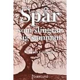 Spår som slingrar sig samman : aktivitetsproblem & arbetsterapi inom p