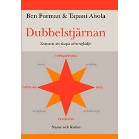 Dubbelstjärnan : Konsten att skapa arbetsglädje