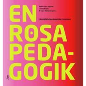 En rosa pedagogik: : jämställdhetspedagogiska utmaningar