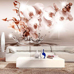 Arkiio Fototapet Touch Of Tenderness of 350x245