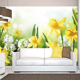 Arkiio Fototapet Spring Walk walk 300x210