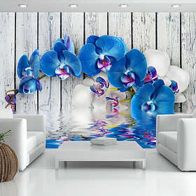 Arkiio Fototapet Cobaltic Orchid orchid 350x245