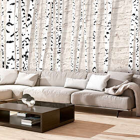 Arkiio Fototapet Birchen Grove 300x210