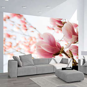 Arkiio Fototapet Rosa Magnolia magnolia 250x193