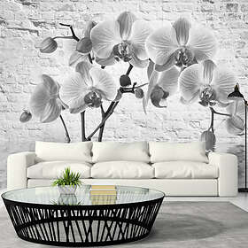 Arkiio Fototapet Orchid In Shades Of Gray in of 300x210