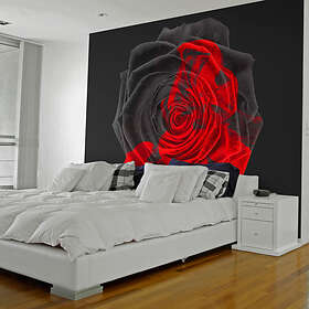 Arkiio Fototapet Transformation 350x270