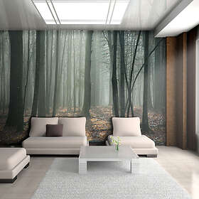 Arkiio Fototapet Witches' Forest forest 250x193