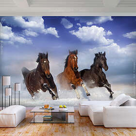Arkiio Fototapet Horses In The Snow in the 350x245