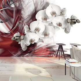 Arkiio Fototapet Orchid In Red in red 350x245