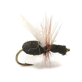 Guideline Foam Flying Ant / Myra 14