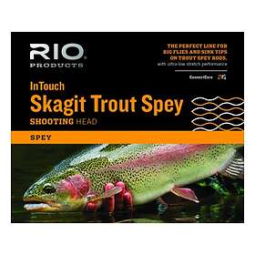 RIO InTouch Skagit Trout Spey SHD Fluglina 5/6 250gr/16 2g - Hitta bästa  pris på Prisjakt