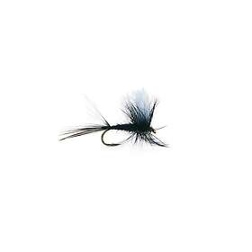 Flydressing Black Gnat 14