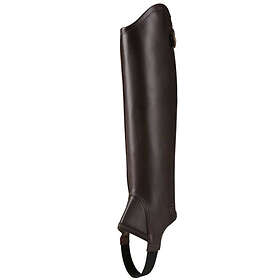 Ariat Shortchaps Concorde