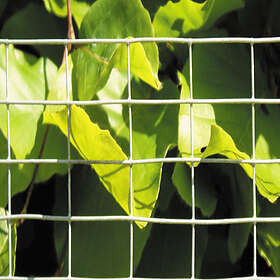 Hortus Nät Maska Welded Wire Mesh Galvanised 19x19mm, 0.5x5m