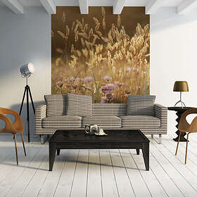 Arkiio Fototapet Awakening Ceral Field ceral field 400x309